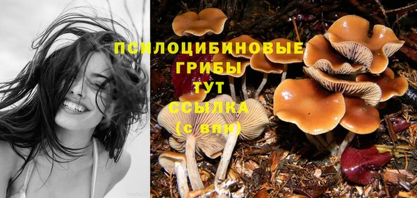 прущие крисы Горняк