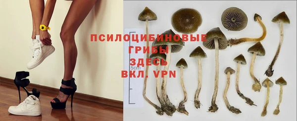 марки lsd Гусиноозёрск