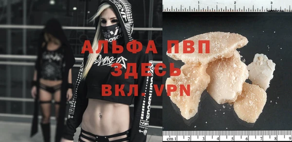 spice Гусев
