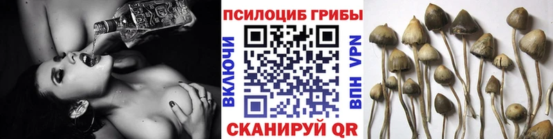 Псилоцибиновые грибы MAGIC MUSHROOMS  Губаха 